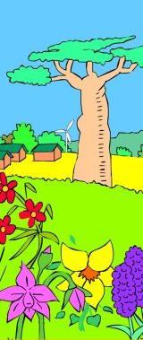 Plants for the Planet