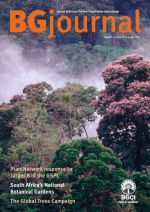BG JOurnal
