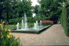 Adelaide Botanic Garden Adelaide Botanic Garden