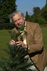 David Attenborough and the Wollemi David Attenborough and the Wollemi