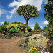 Potter Garden, Auckland Botanic Garden Potter Garden, Auckland Botanic Garden