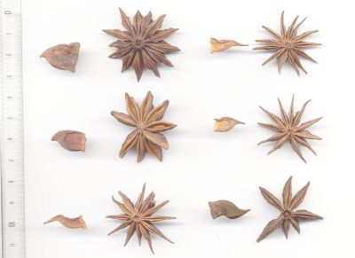 Star anise Star anise