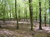 Education for Sustainability