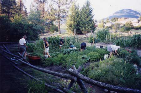 Columbia Valley - gardening