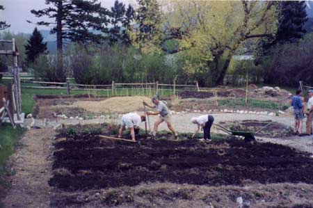 Columbia Valley - planting