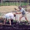 Columbia Valley - Planting