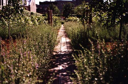 Chateau Ramzey - Allee