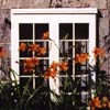 Chateau Ramzey - Fleur et fenetres