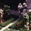 Chateau Ramzey - Touring the gardens