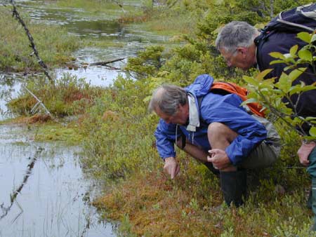Hariet Irving - Bog field trip