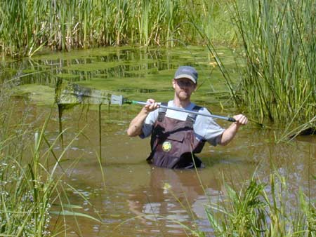 Hariet Irving - In the Marsh