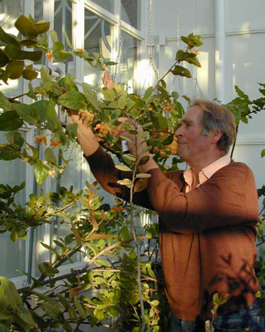 Hariet Irving - Plant inspection