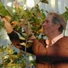 Hariet Irving - Plant inspection