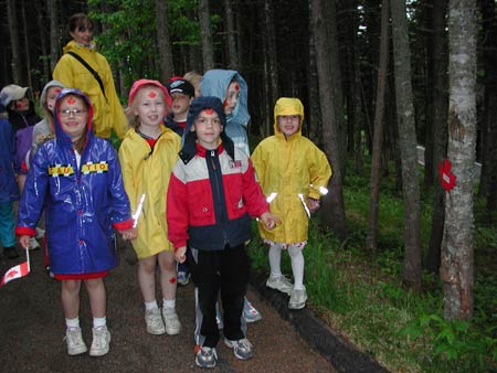 Memorial University - forest walk