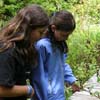 Jardin Metis - Lycee vert
