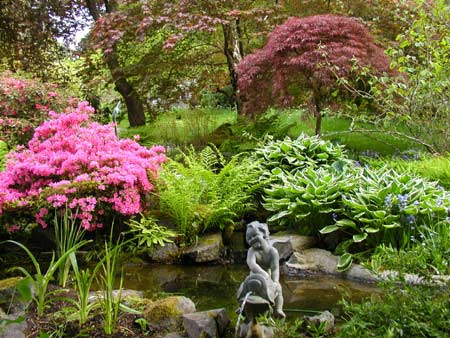 Milner Gardens - Dolphin ponds