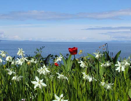 Milner Gardens - Ocean view