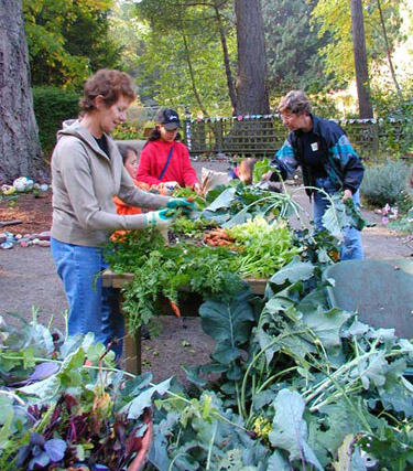 Milner Gardens - Harvest