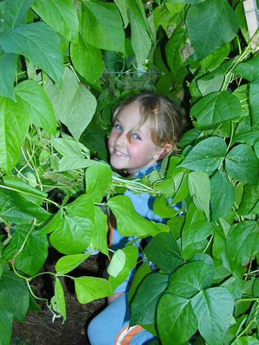 Milner Gardens - Hiding