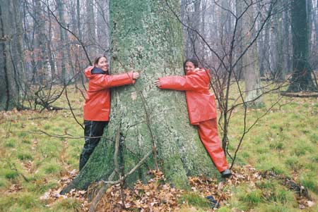 Niagra Parks - Old Growth Forests