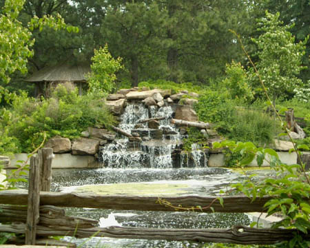 Niagra Botanical Garden - Firepond Waterfall