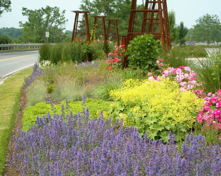 Niagara Botanical Garden - Parkway Perennials