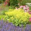 Niagra Botanical Gardens - Parkway Perennials