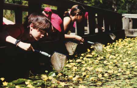 VanDusen - In the pond