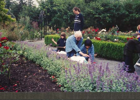 VanDusen - In the gardens