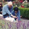 VanDusen - In the garden