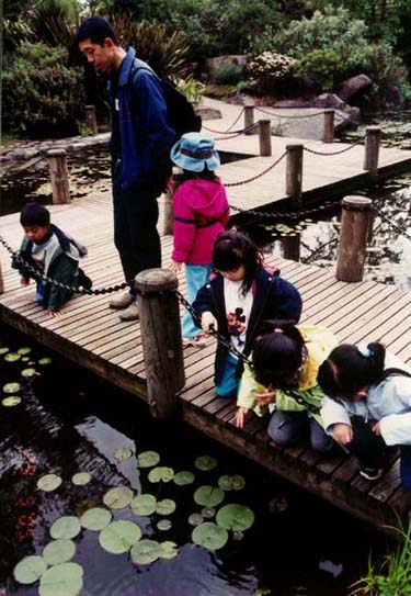 VanDusen - By the pond