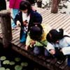 VanDusen - By the pond