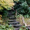 VanDusen - Stairs