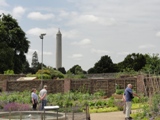 organic garden