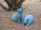 pigs at glasnevin