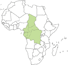 Cameroon, Central African Republic, Chad, Congo, The Democratic Republic of The Congo, Equatorial Guinea, Gabon, São Tomé and Príncipe. Cameroon, Central African Republic, Chad, Congo, The Democratic Republic of The Congo, Equatorial Guinea, Gabon, São Tomé and Príncipe.
