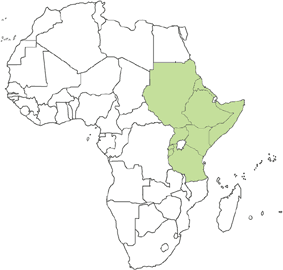 Burundi, Djibouti, Eritrea, Ethiopia, Kenya, Rwanda, Somalia, Sudan, United Republic of Tanzania, Uganda. Burundi, Djibouti, Eritrea, Ethiopia, Kenya, Rwanda, Somalia, Sudan, United Republic of Tanzania, Uganda.