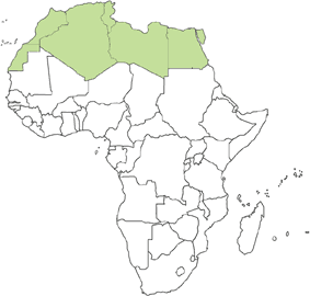 Algeria, Egypt, Libyan Arab Jamahiriya, Morocco, Tunisia, Western Sahara. Algeria, Egypt, Libyan Arab Jamahiriya, Morocco, Tunisia, Western Sahara.