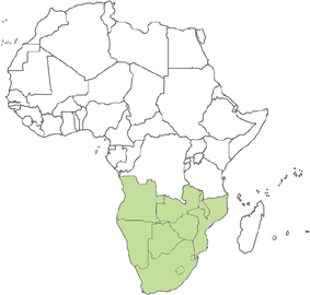 Angola, Botswana, Lesotho, Malawi, Mozambique, Namibia, South Africa, Swaziland, Zambia, Zimbabwe. Angola, Botswana, Lesotho, Malawi, Mozambique, Namibia, South Africa, Swaziland, Zambia, Zimbabwe.