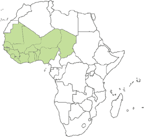 Benin, Burkina Faso, Cape Verde, Côte d'Ivoire, Gambia, Ghana, Guinea, Guinea-Bissau, Liberia, Mali, Mauritania, Niger, Nigeria, Senegal, Sierra Leone, Togo. Benin, Burkina Faso, Cape Verde, Côte d'Ivoire, Gambia, Ghana, Guinea, Guinea-Bissau, Liberia, Mali, Mauritania, Niger, Nigeria, Senegal, Sierra Leone, Togo.