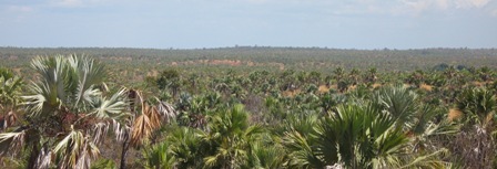 Antrema landscape