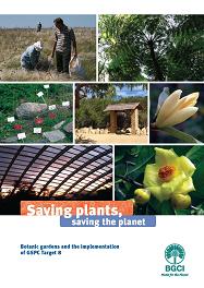 Photo of report Saving plants, saving the planet