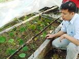 Cultivation at BaVi National Park in Northern Vietnam