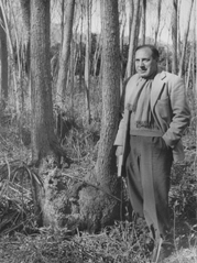 Ing. Arturo E. Ragonese Ing. Arturo E. Ragonese