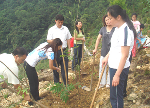 Planting