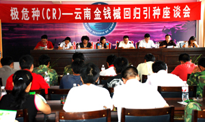Workshop open ceremony 