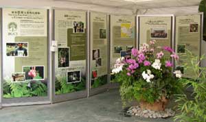 2003 Hong Kong Flower Show 2003 Hong Kong Flower Show