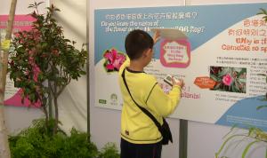 child having a look at BGCI exhibit