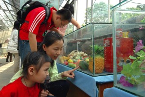 Nanjing Botanical Garden Exhibition 2006