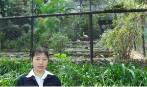 Plant placement inside animal cages at Hong Kong Zoological and Botanical Gardens Plant placement inside animal cages at Hong Kong Zoological and Botanical Gardens